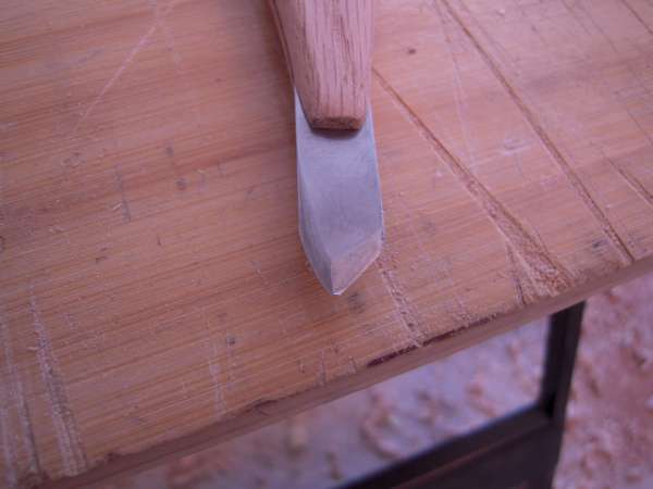 DSCN3410-600.jpg
