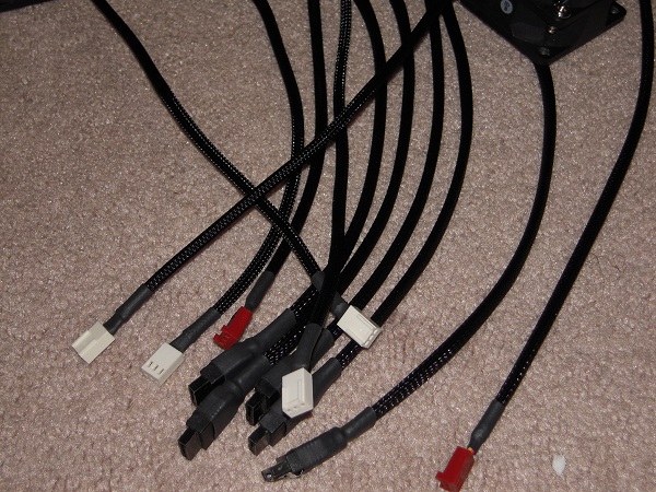 DSCN1587.jpg