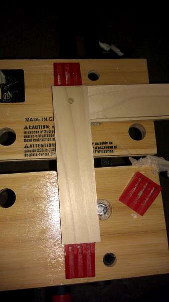 IMAG0517-600.jpg