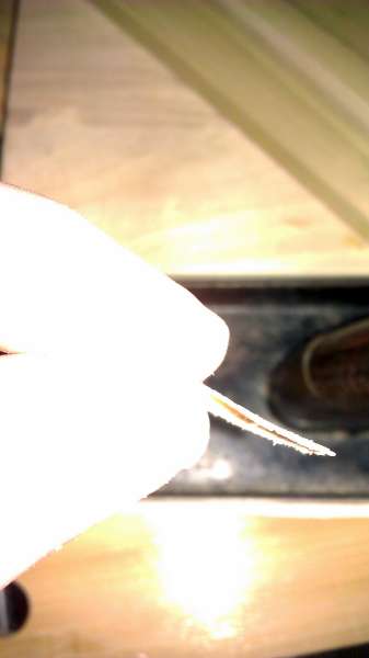 IMAG0553-600.jpg