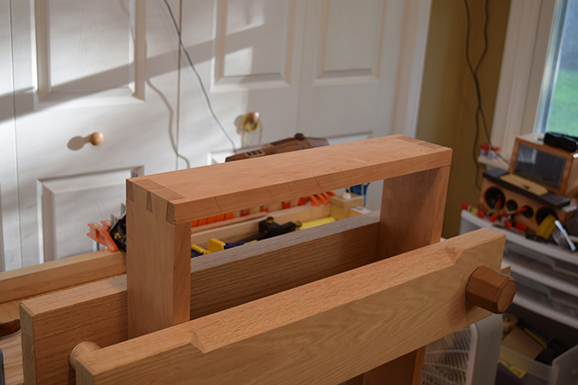 Mosquito_Rose_Shadowbox_DSC_0064.JPG