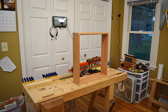 Mosquito_Rose_Shadowbox_DSC_0228.JPG