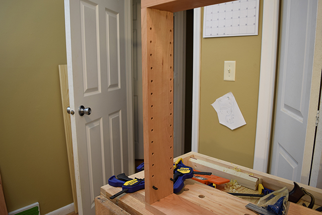 Mosquito_Rose_Shadowbox_DSC_0250.JPG