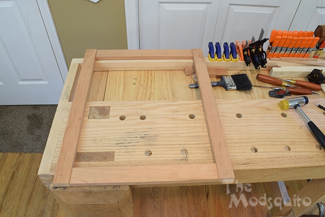 Mosquito_Rose_Shadowbox_DSC_0278.jpg
