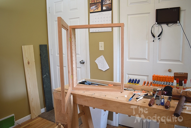 Mosquito_Rose_Shadowbox_DSC_0299.jpg
