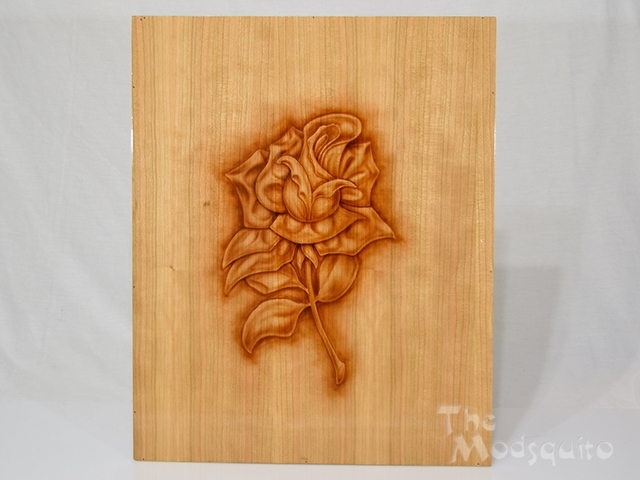 Mosquito_Rose_Shadowbox_DSC_0374.jpg